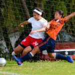 pexels-laura-rincón-15955018